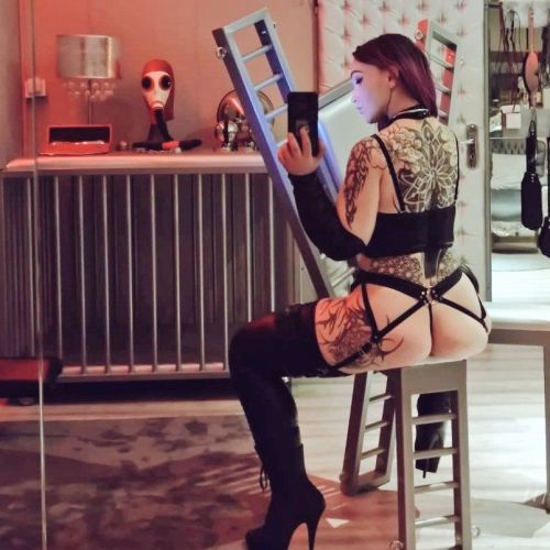 Galeriebild 11 von Lady Lynn