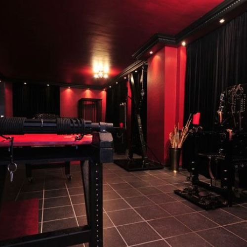 Galeriebild 6 von Kinky Revolution