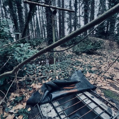 Galeriebild 10 von Mistress Henriette