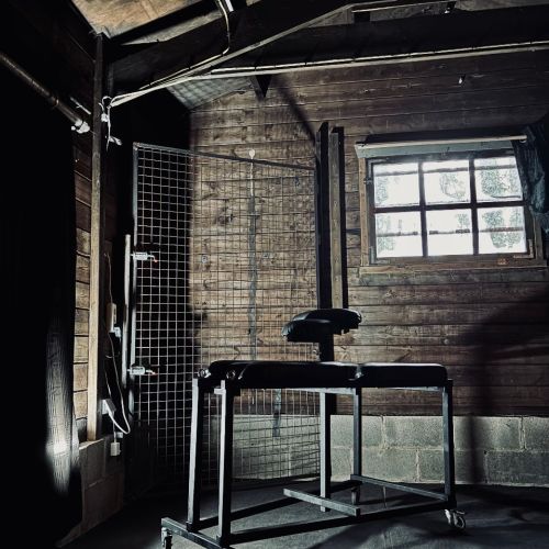 Galeriebild 8 von Mistress Henriette