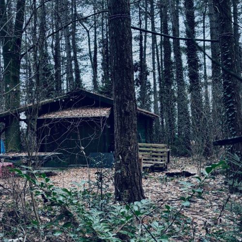 Galeriebild 3 von Mistress Henriette