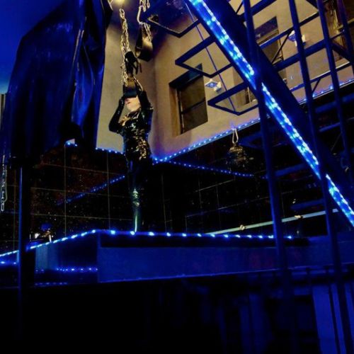 Galeriebild 9 von Novem Viginti