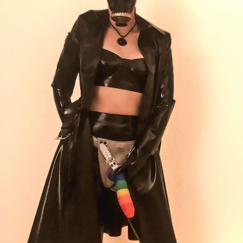 Galeriebild 28 von Velvet Divine